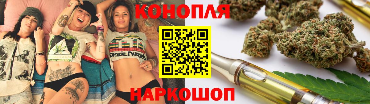 Бошки Шишки план Дмитров